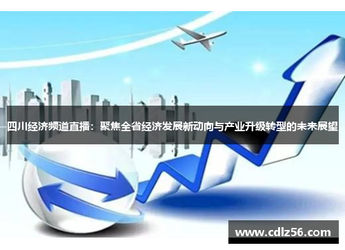 四川经济频道直播：聚焦全省经济发展新动向与产业升级转型的未来展望