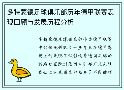 多特蒙德足球俱乐部历年德甲联赛表现回顾与发展历程分析