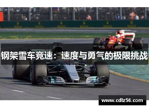 钢架雪车竞速：速度与勇气的极限挑战