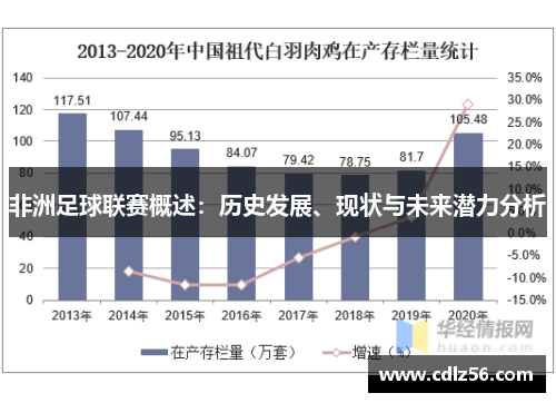 非洲足球联赛概述：历史发展、现状与未来潜力分析